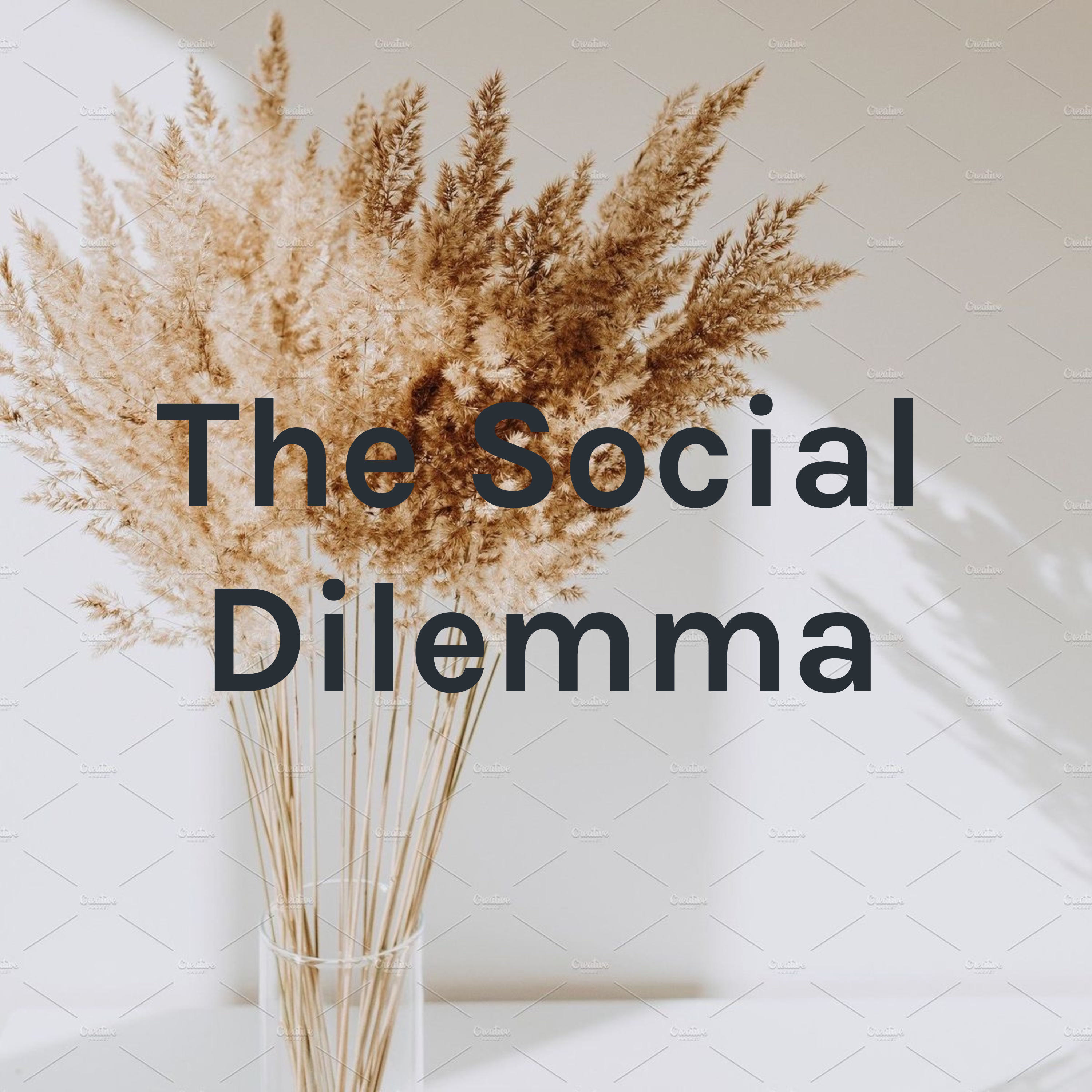 The Social Dilemma podcast artwork