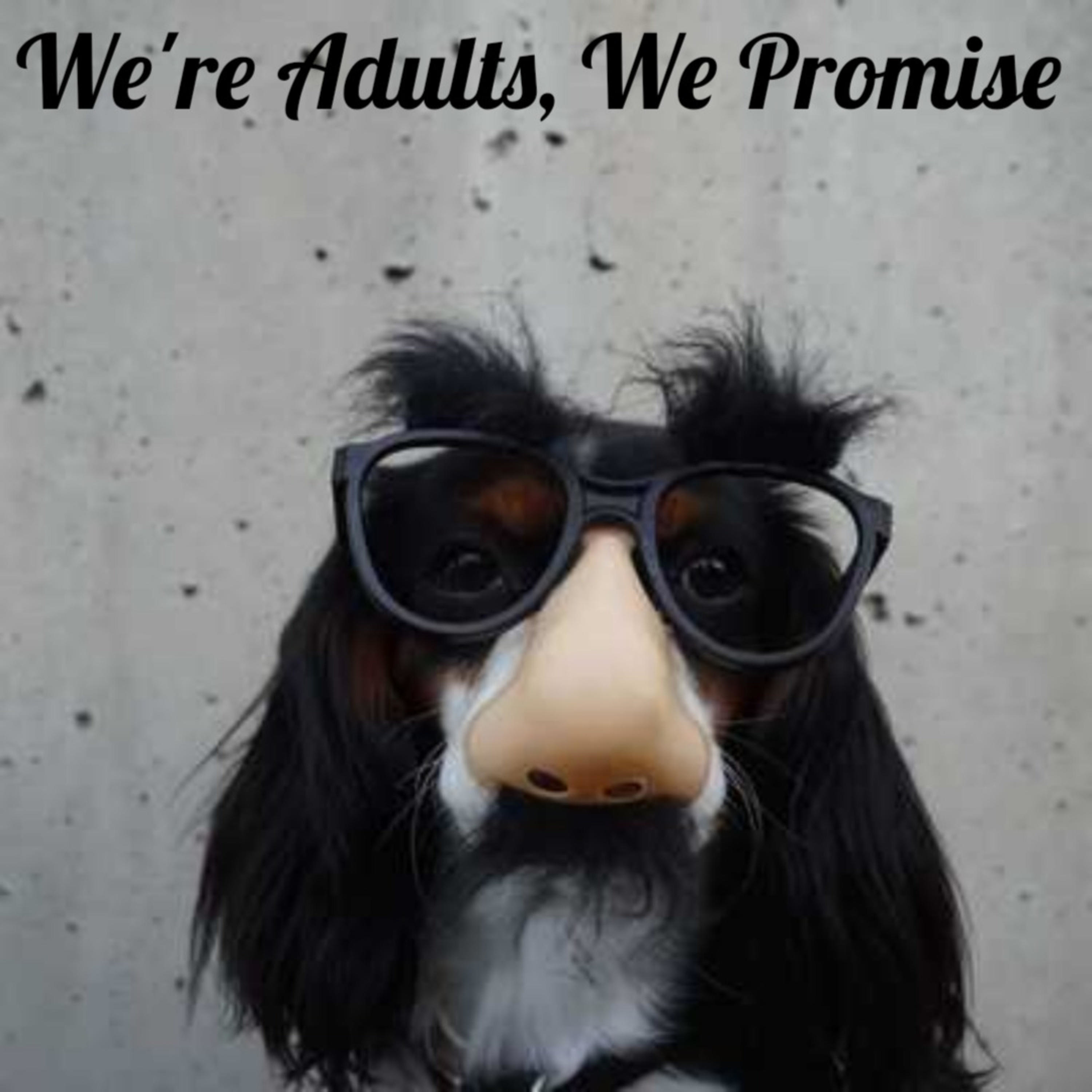 We\'re Adults, We Promise