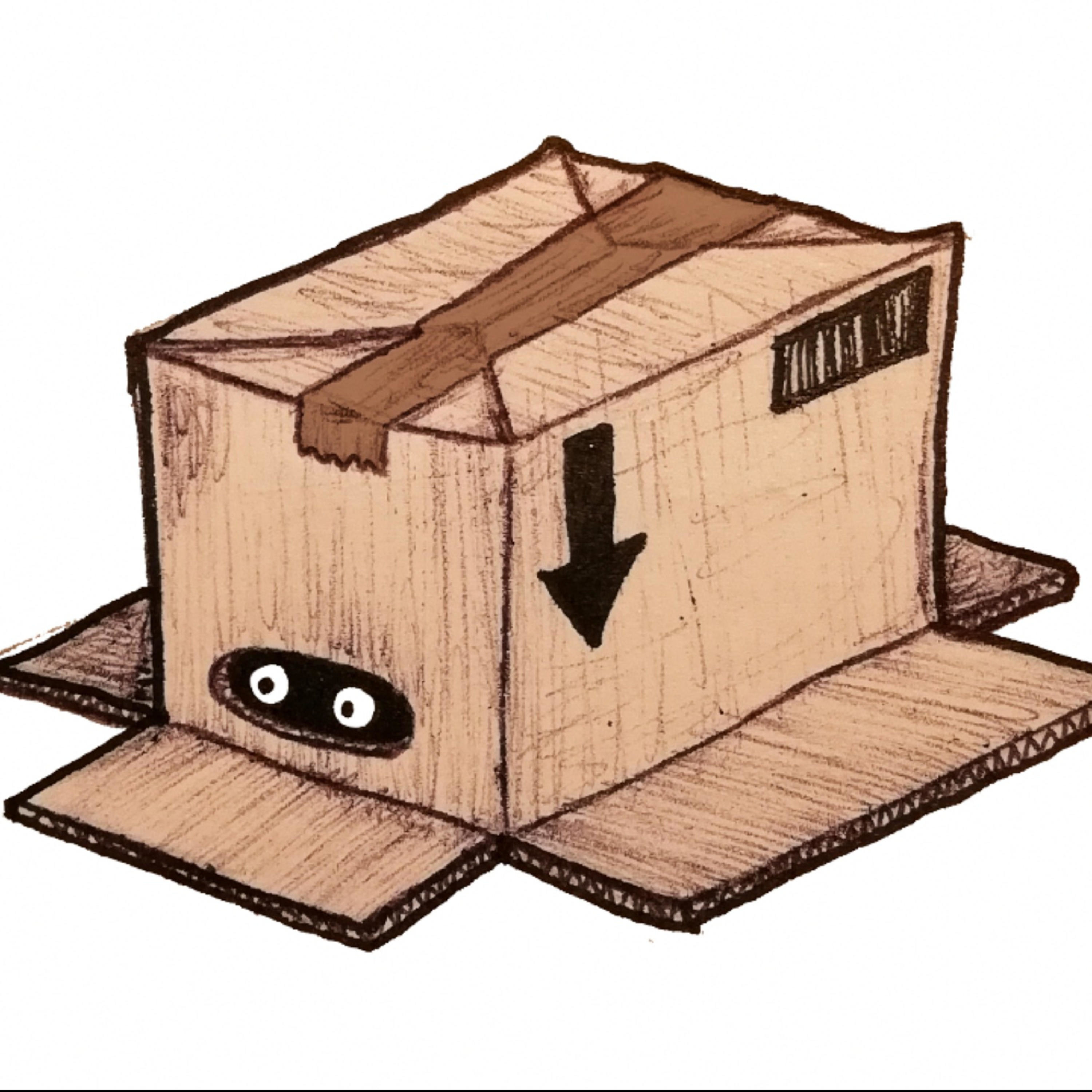 The Cardboard Box Podcast