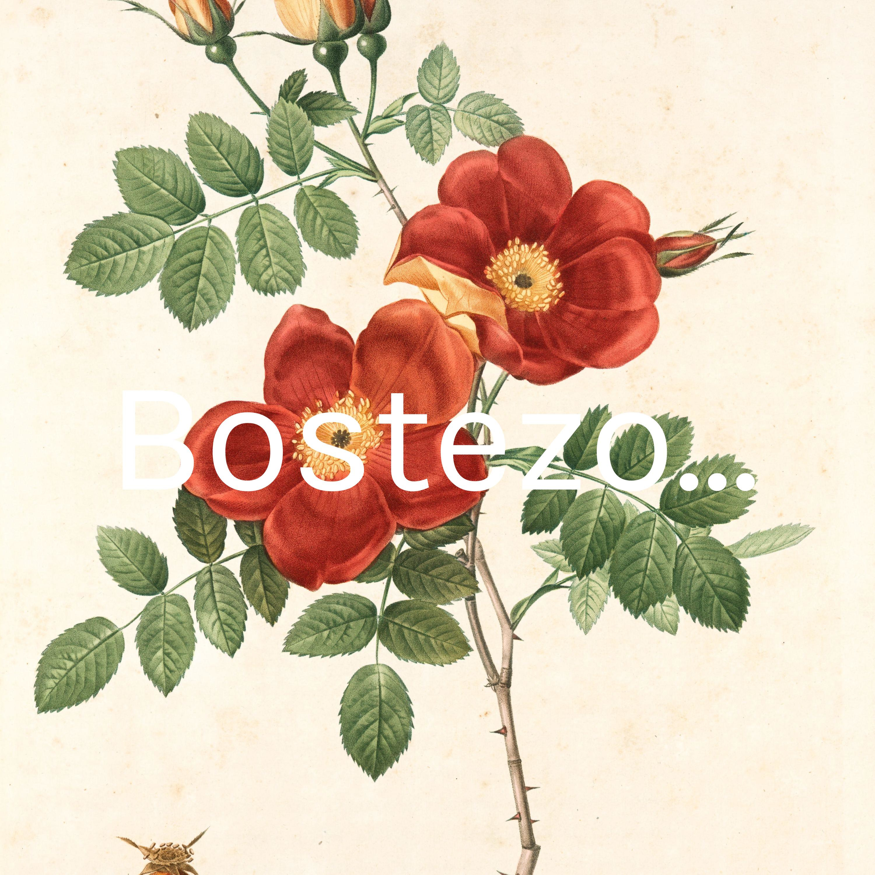 Bostezo... podcast artwork
