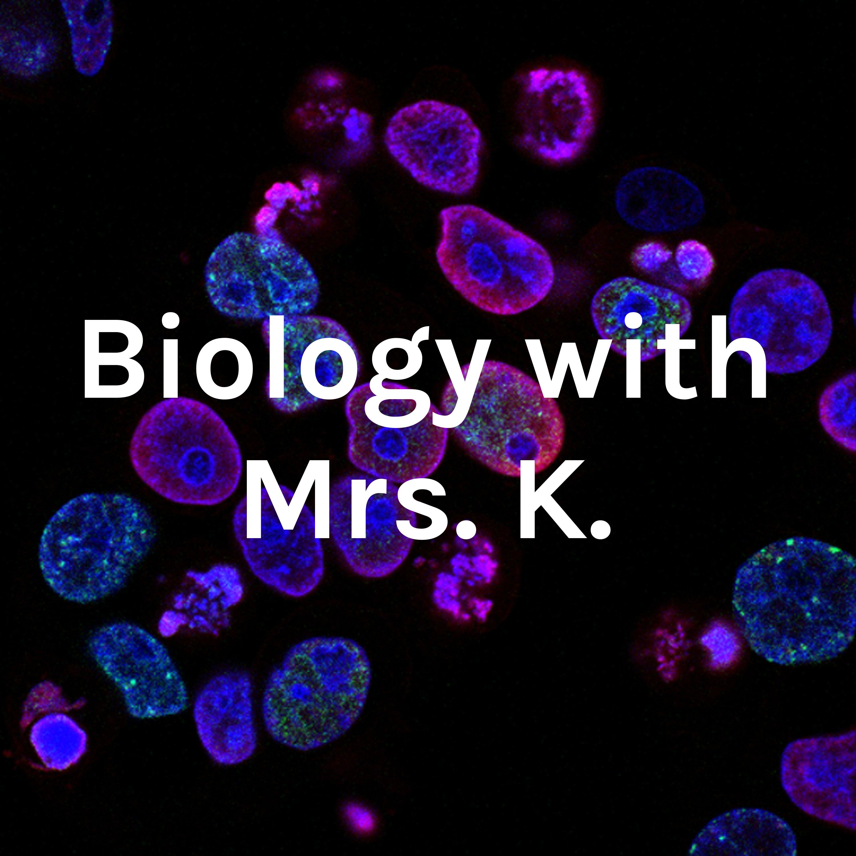 Biology with Mrs. K.