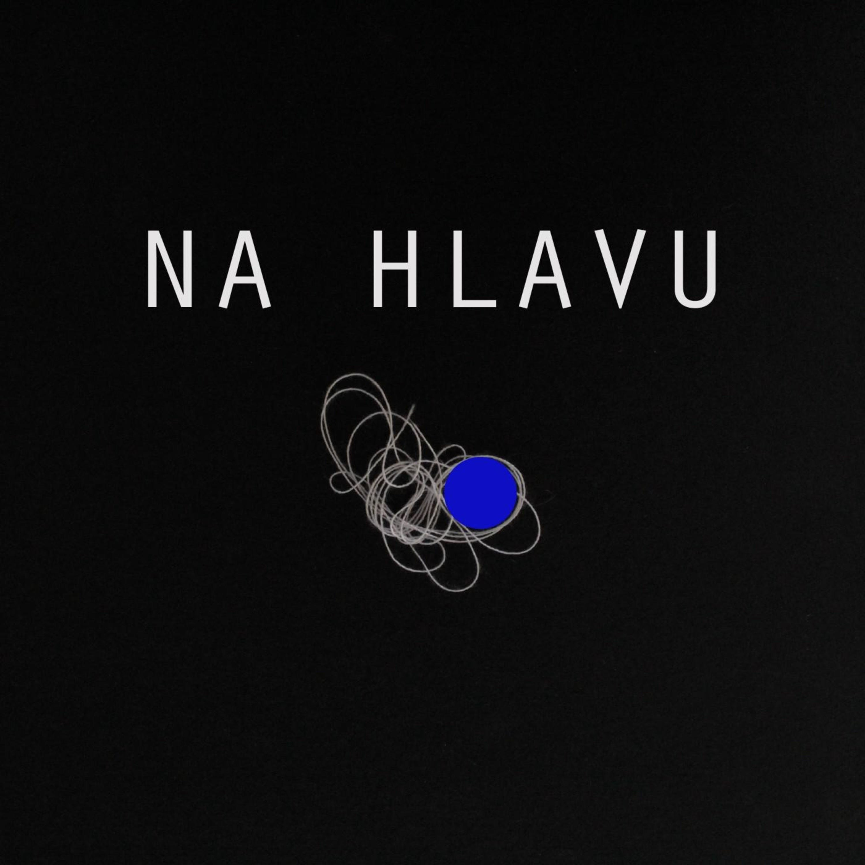 Na hlavu