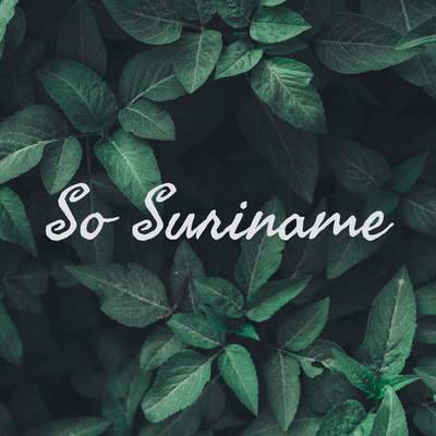 Visit Suriname