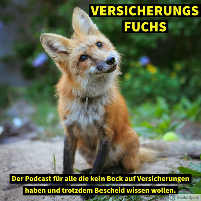 WOBIG ON AIR VERSICHERUNGS FUCHS - PODCAST