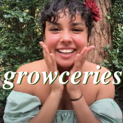 what is Shadow Purging?! & why Lightworkers must go through it. [ 🌱 Growceries .022 ]