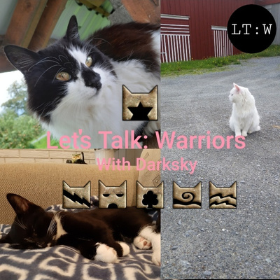Let\'s Talk: Warriors