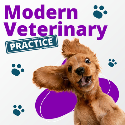 What is a "Modern Veterinary Practice"?