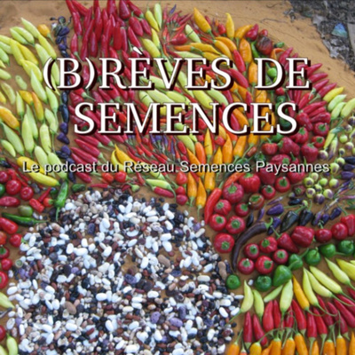 (B)rèves de semences - épisode 3 / Laurence