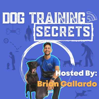4 Reason Your Dog Doesn't Come When Called!