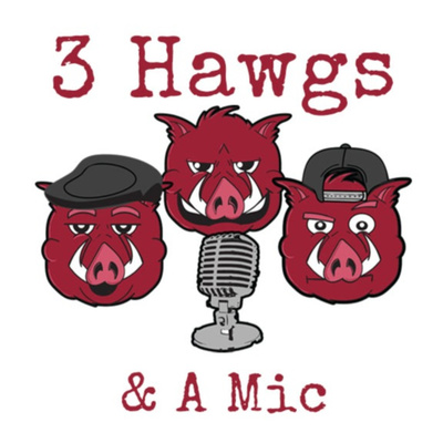3 Hawgs & a Mic Episode 16 Part 1 episode artwork