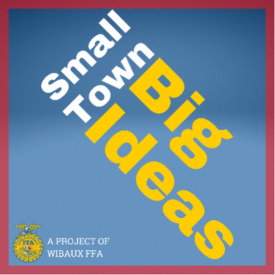 Small Town Big Ideas