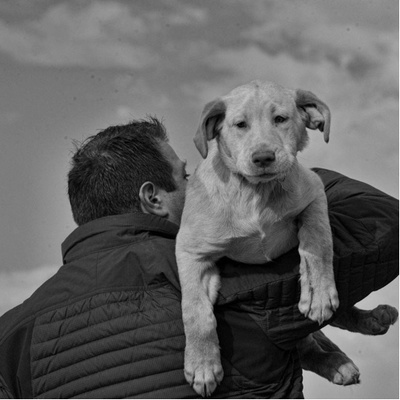 Cracking the Reliability Code Cracking the Reliability Code