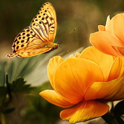 Meditación para la Paz Interior