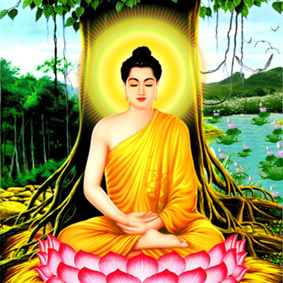 Kinh Tứ Niệm Xứ - 5. Quán Thọ - Sư Bà Hải Triều Âm