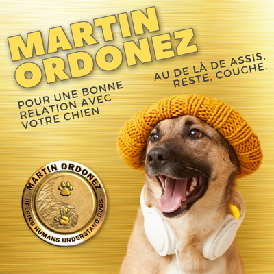 Épisode05 - COMMENT BIEN DÉPENSER SON CHIEN by Martin Ordonez 