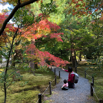 柚子咩說故事21_螢火蟲 柚子咩說故事21_螢火蟲