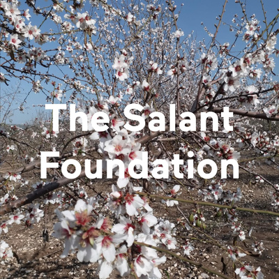 The Salant Foundation