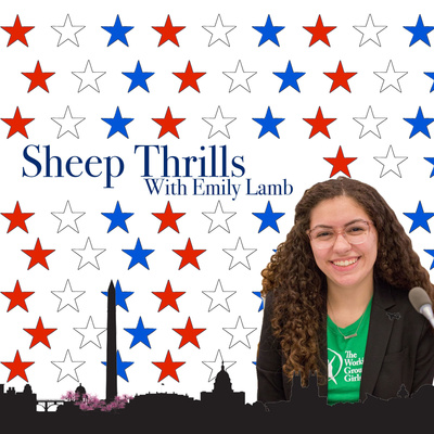 Sheep Thrills