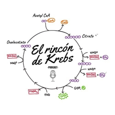 Rincón de Krebs #3 Nutrición deportiva