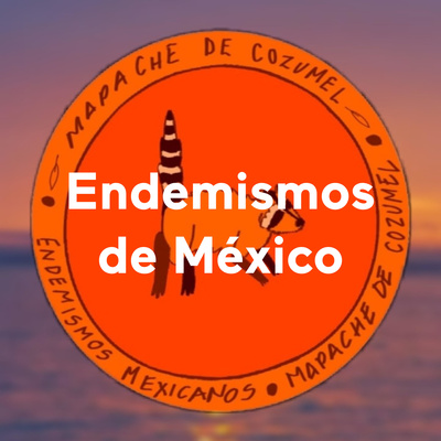 Endemismos de México El Mapache de Cozumel • A podcast on Spotify for
