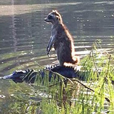 he's the Bert to my Tom