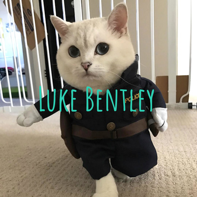 Luke Bentley • A podcast on Spotify for Creators