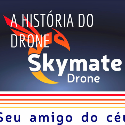 A HISTÓRIA DO DRONE