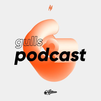 Gulls podcast