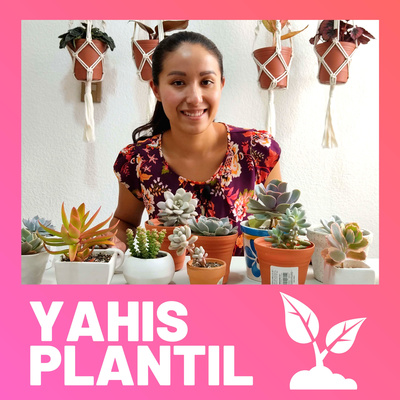 Plantas de temporada