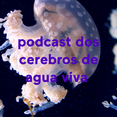 pedro e fabrico 2v