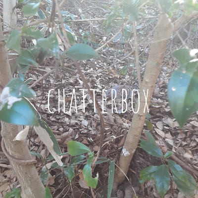 chatterbox vol.17 ひろげる春つなげる春 chatterbox vol.17 ひろげる春つなげる春