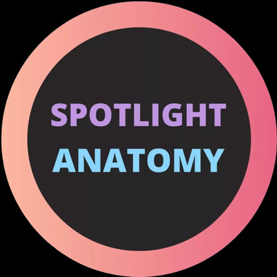 Spotlight Anatomy • A podcast on Spotify for Podcasters