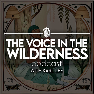 The Voice In The Wilderness
