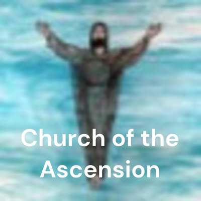 Homily 02/06/2022 - Fr. Stephen Smith episode artwork