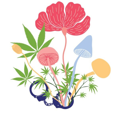 НАРКОПРАГМАТИКА. Волшебную палочку в помощь наркополитике! (Эпизод 19)