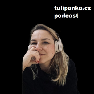 #25 Nizozemské realitní davové šílenství