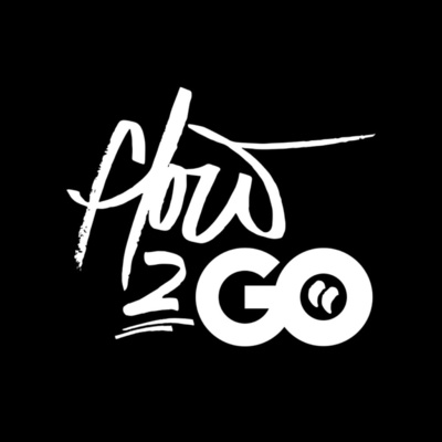 Artwork for Go & Flow Project