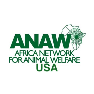 Episode 3: Reflections on Veterinary Medicine and One Health