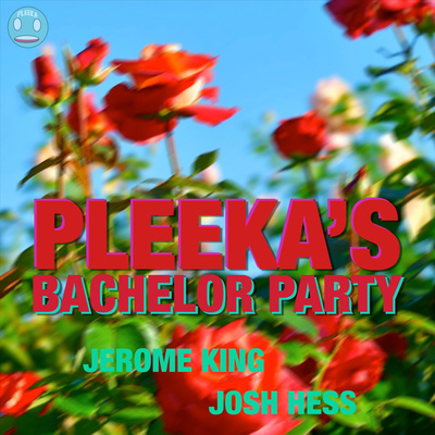 The Pleeka Podcast