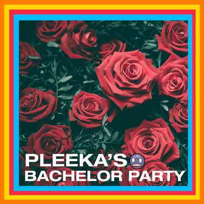 The Pleeka Podcast