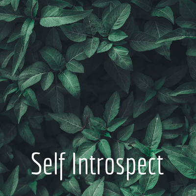 Self Introspect • A podcast on Spotify for Creators