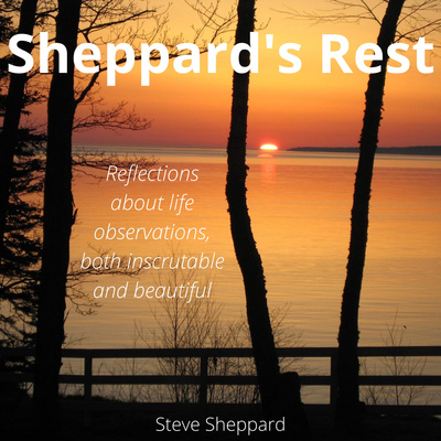 Sheppard\'s Rest: Reflections about life, both the inscrutable and the beautiful
