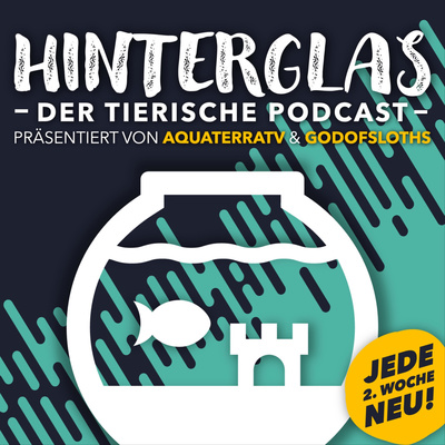 Die perfekte Plattform für Infos zu Fischen und Aquarienpflanzen & die neue Sommerstaffel | HINTERGLAS #026