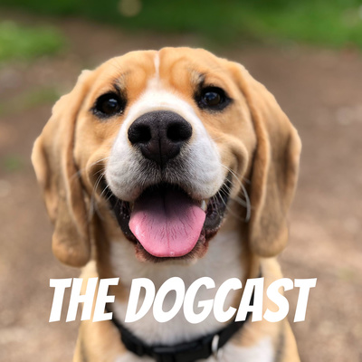 The DogCast episode 7, The tale of Ravello
