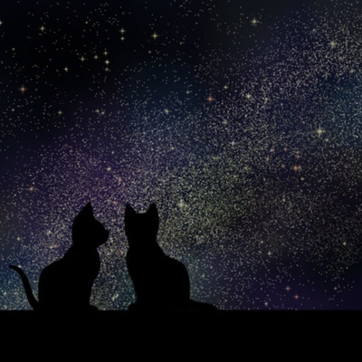 今は死ぬまで走り続けたい