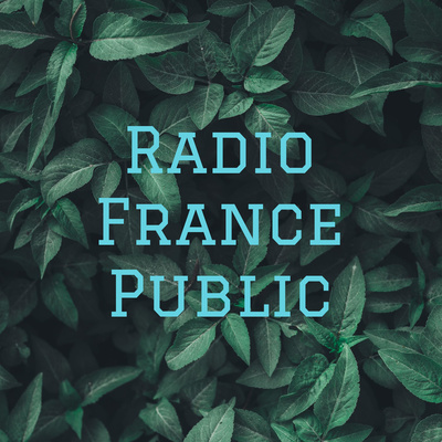 Radio France Public De 12 H A 14h Du Mardi Avril 21 By Radio France Public A Podcast On Anchor