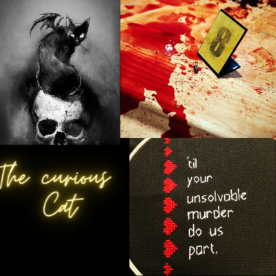 The Curious Cat