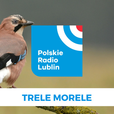 Trele morele - Dymówka episode artwork