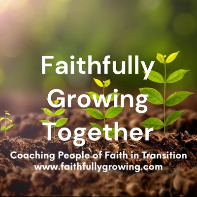 Internal Family Systems (IFS) Meditations and Insights: Faithfully Growing with Tim Fortescue