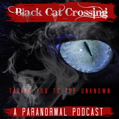 Black Cat Crossing